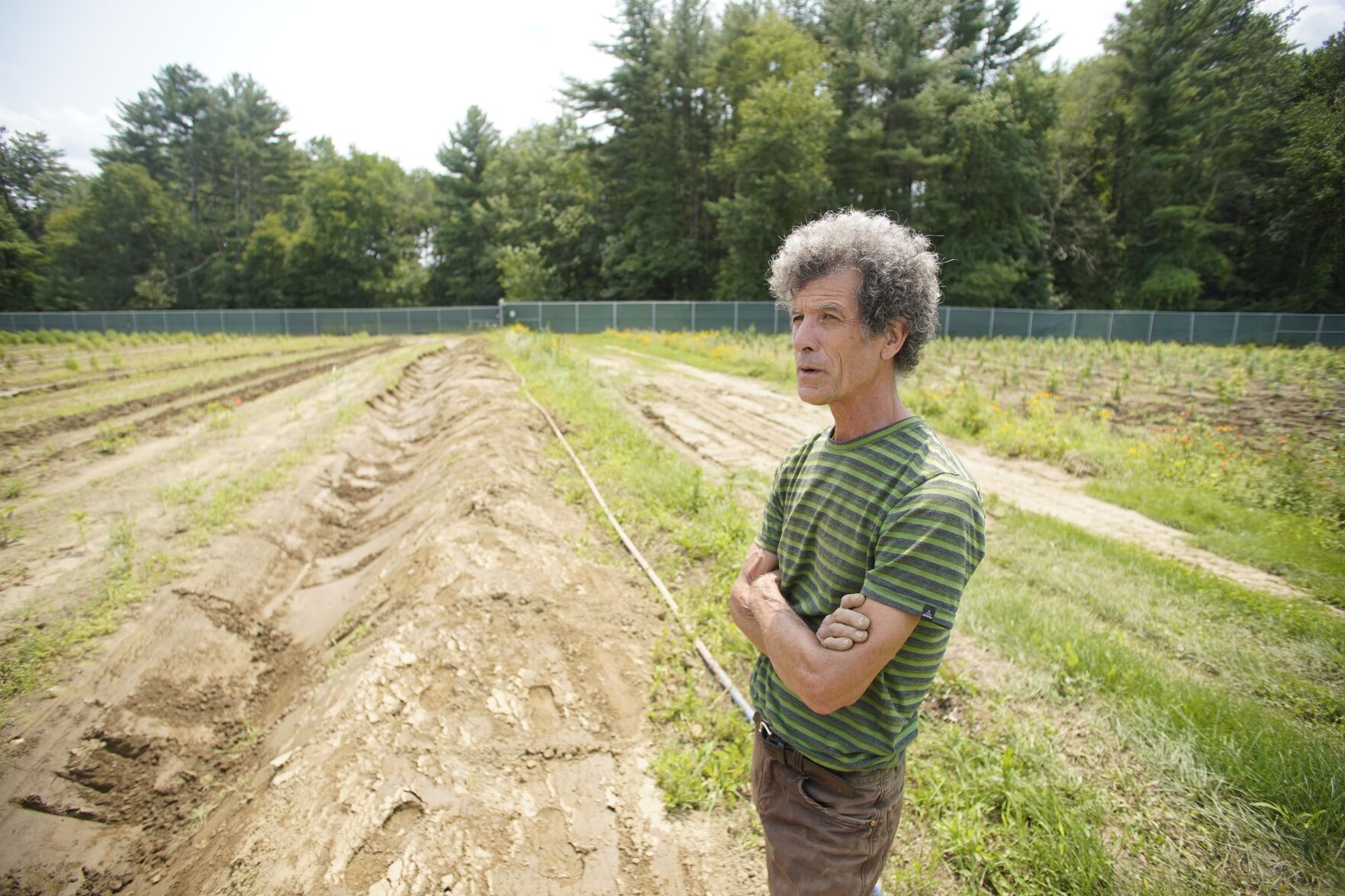 Farmer Ted Dobson